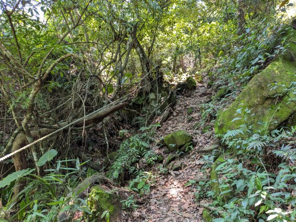 2026.6.20暗影山之旅3078386