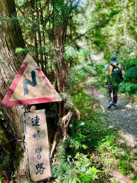 烏來阿玉溪溯溪接西坑林道2573830