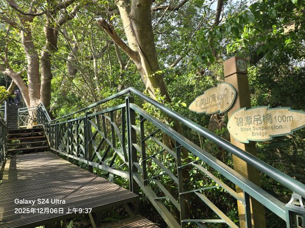 2025-12-06微笑山線：【二格山系】和美山螢火蟲段2956809