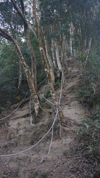 神仙縱走(仙山至神桌山)1252492