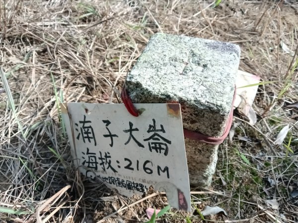 基隆市三層山+湳子大崙+淡基橫斷古道+面桶寮土地公2982247