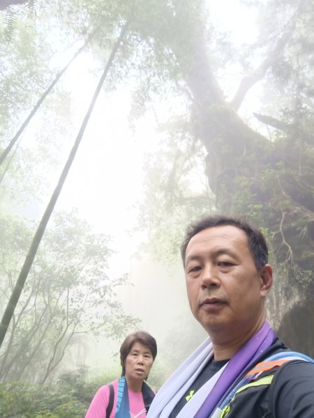 嘉義大凍山2876982