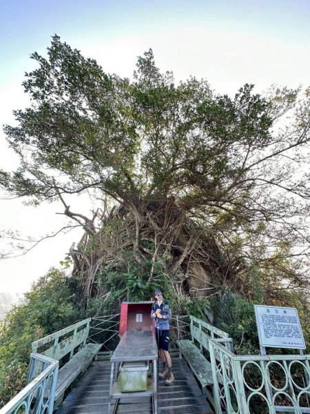 20251213 高雄觀音山15連峰🤔一直走不回頭繞2961510