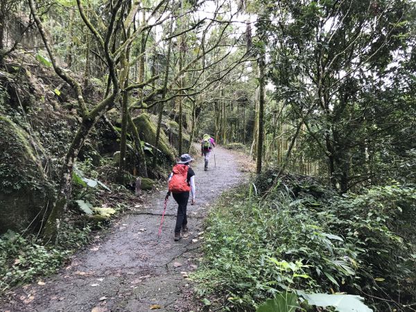 關子嶺大凍山步道188317