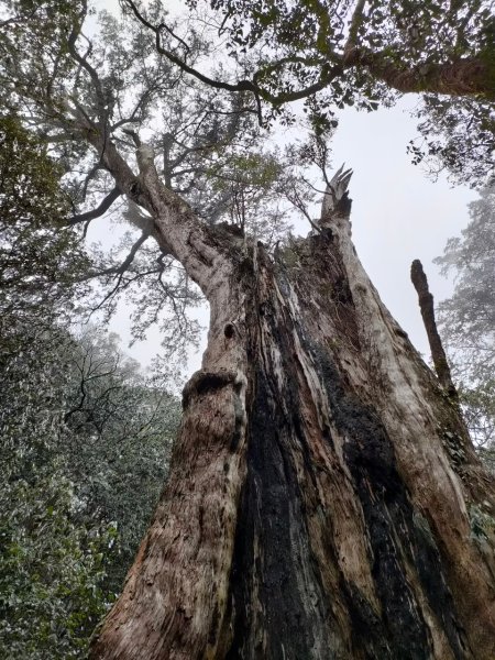 雪季北得拉曼2956437