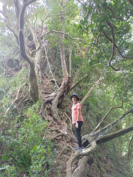 凌雲寺-觀音山-八里渡船頭-202508032866419