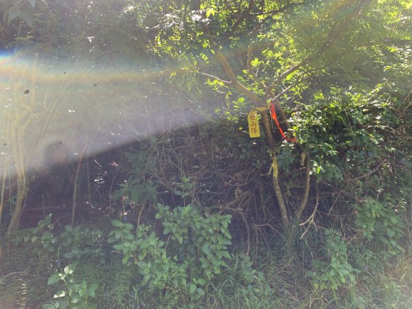 20251006屏東老佛山-老佛山西峰2907884