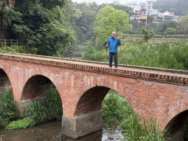 [樟之細路_第一大段RSA01] 2026_0329 大平紅橋3026640