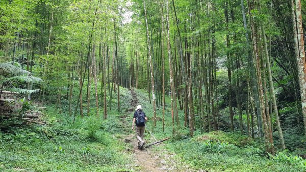 《嘉義》悠晃水社寮｜四大天王山步道O繞202207101759225