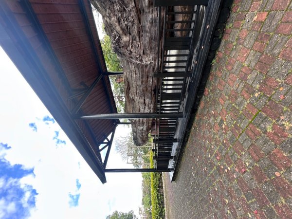 東勢林業文化園區2703614