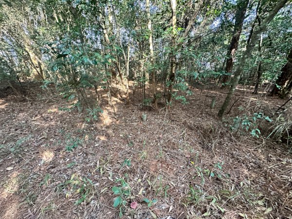 新竹新埔-蓮華山古道2628618