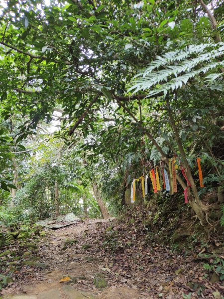 2023.12.27 大溪金面山2839317