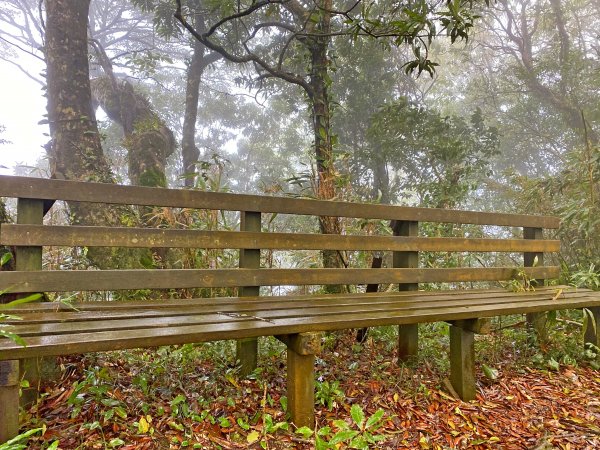 魯壁山、東穗山、島田三山、高台山縱走  881719