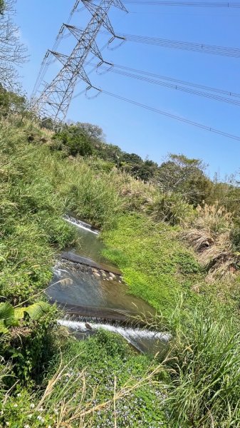 樟之細路-尋寶💎任務1-53019795