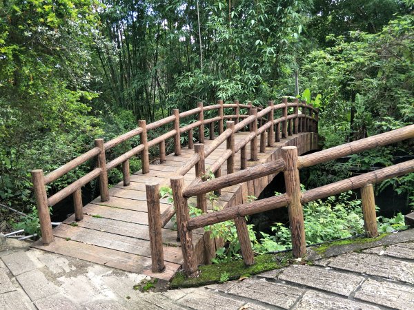 華山步道群(文學步道、1號步道)202105051414616