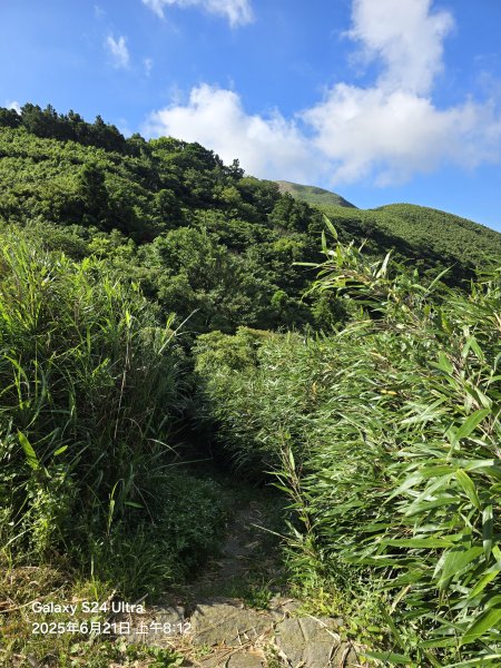 2025-06-21臺北大縱走第二段：二子坪至小油坑2821021