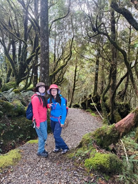 翠峰湖望洋山步道2940128