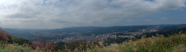 大尖山櫻花-龍船洞-秀峰瀑布2733736