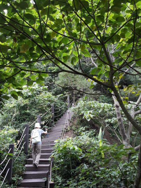 台中新田登山步道20180823396409