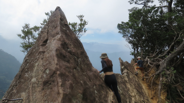《新竹》斷崖神木｜北得拉曼步道小P繞