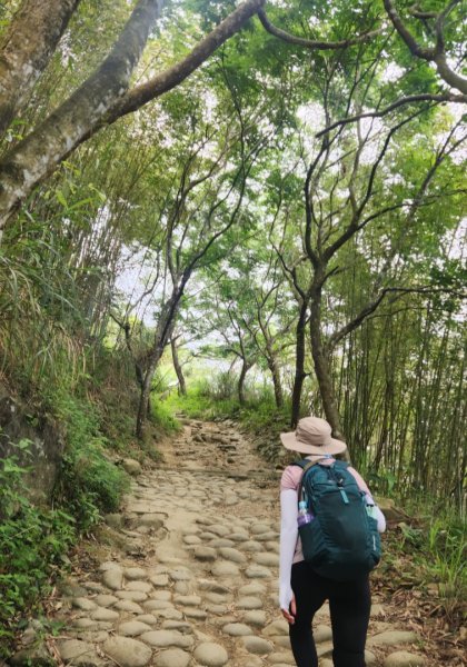 【中級山】台南第一高峰，關子嶺大凍山2741130