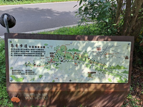 2026森遊竹縣：仁和步道，金獅古道3107306