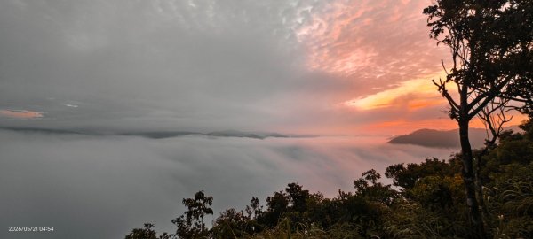 #坪林 #南山寺 #飛碟茶園 #慈瑤宮 #環山路 #日出 #雲海 #觀音圈 5/21-233058231