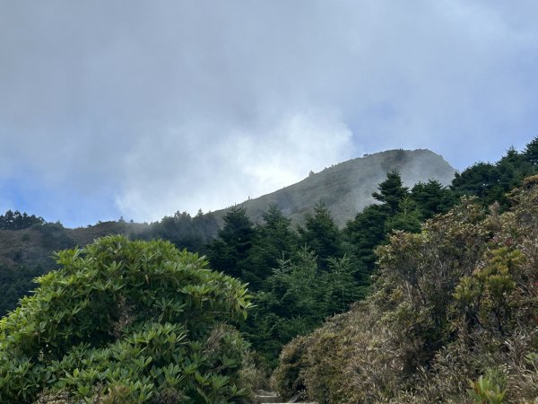桃山3095920