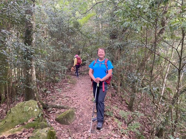 鵝公髻山（小百岳）鵝公髻山東北峰2449855