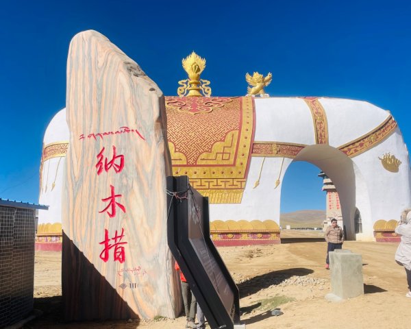 川藏318熱門的卡點-尼瑪-當惹擁措-大地之樹-雅丹地貌聖象天門2905197