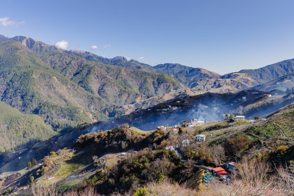 福壽山千櫻園櫻花季初開2717417