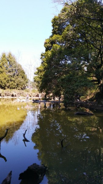 中之關、天池步道1294932