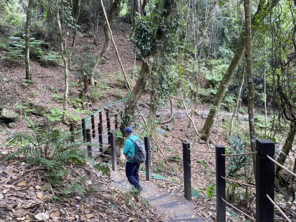 《雪山坑登山步道｜巨人之手森林秘境 Xueshankeng Hiking Trail & Giant2971094