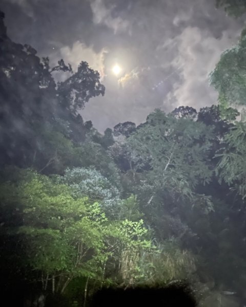烏來加九寮溪-卡拉莫基清幽小秘境/釣魚💙2595683