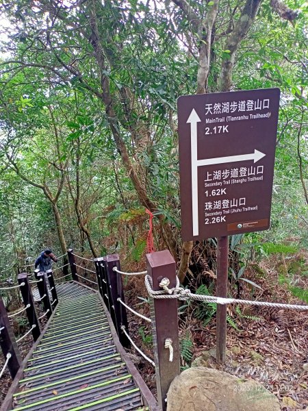 四訪苗栗的花果山-小百岳#037馬那邦山、雪霸國家公園管理處【小百岳集起來、苗栗-臺灣百大必訪步道】2394356