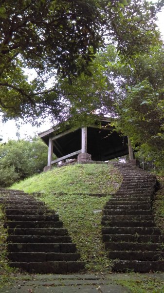 【東北角生態步道尋寶石】 桃源谷步道大溪線 3-3963569