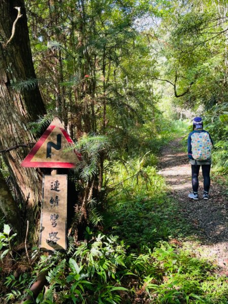 烏來阿玉溪山/西坑林道/探勘派出護管所彈藥庫遺址至獅坑橋2581995
