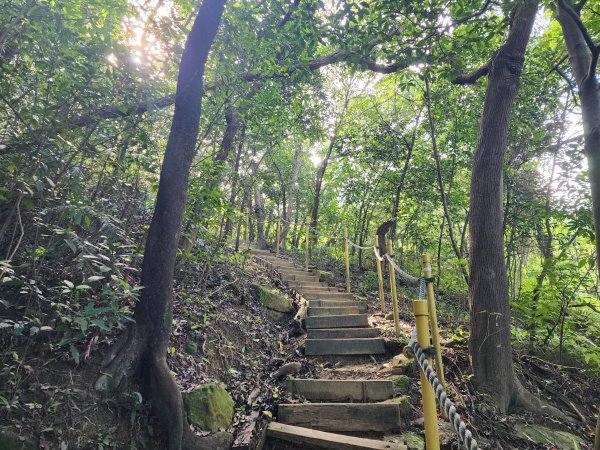 ⛰金劍縱走3055863