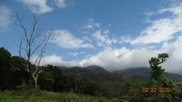 午餐的約會-北投三層崎/貴子坑845560