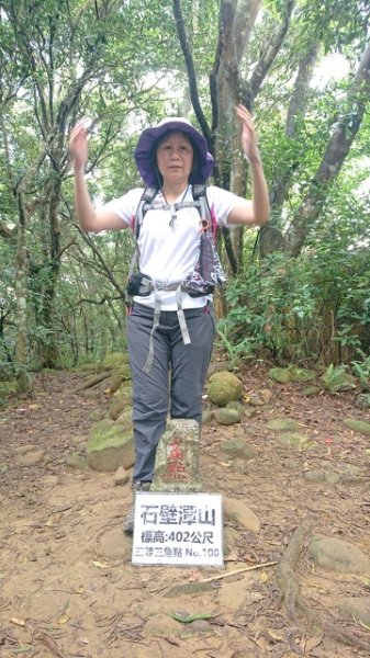 飛鳳山、中坑山、大阪根、賞血藤花O走2542584