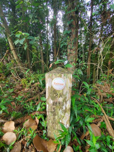 【南投|貓囒山】1049766