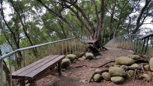 彰化縣田中鎮-田中森林登山步道90006