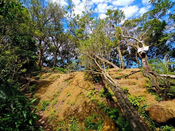 (二格山系)筆架連峰-2025微笑山線大縱走尋寶集章任務2866377