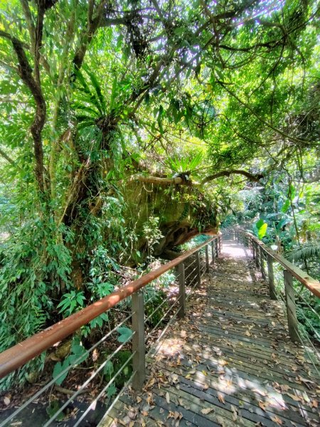 達娜伊谷-里美避難步道-巨石板步道-約富霓2788549