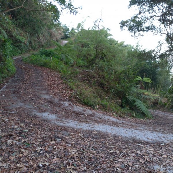 一條路走就對了>鐵本山⛰️⛰️⛰️846161