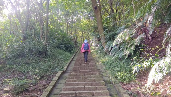 (姨婆趴趴走)第五十五集:攀登健走台北大崙頭尾山親山步道環狀一圈2853708