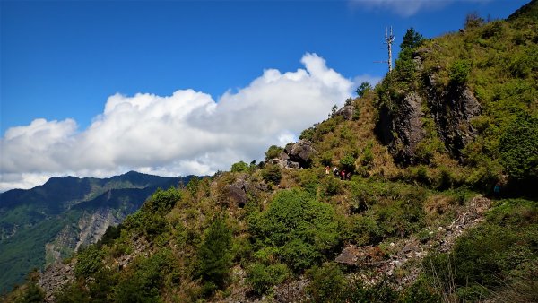 悠遊高山與中級山間的山旅健行在塔塔加玉山前峰及鹿林麟趾山1359929