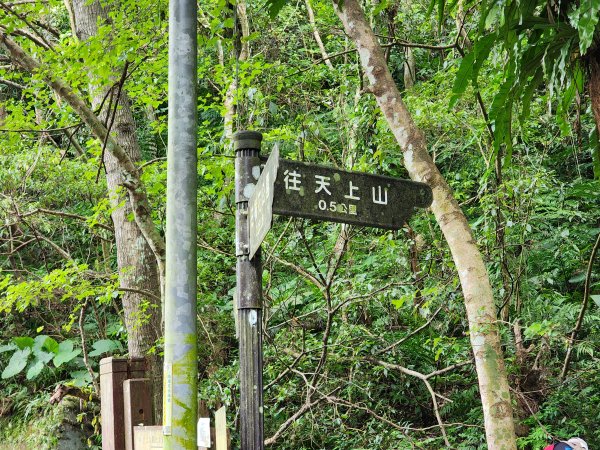 小百岳No.14⛰天上山2827773