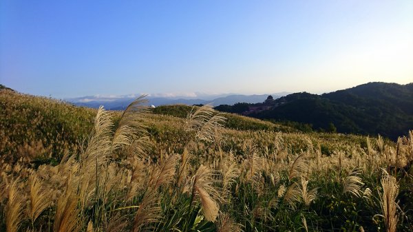 新北樹林-三角埔頂山1420653