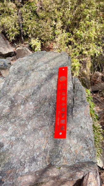 20250122 三角貓🐱遊玉山前峰玩瘋了🌀2698279